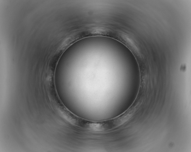X0000091680265200709061110