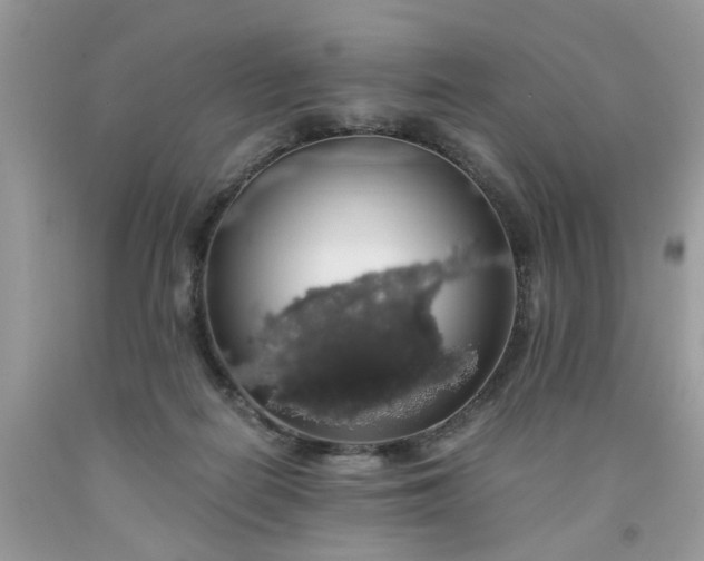 X0000091680266200709061110