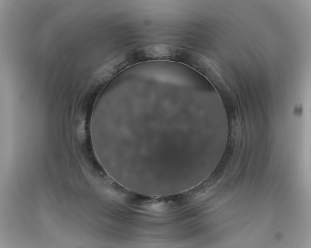 X0000091680267200709061110