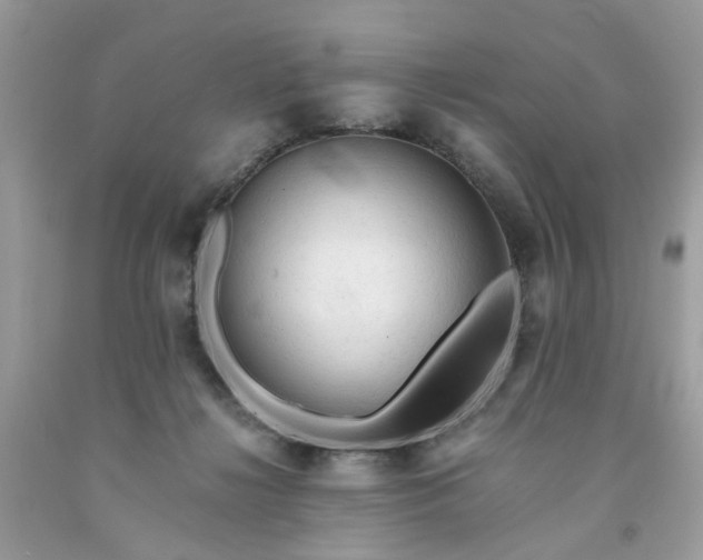 X0000091680268200709061110
