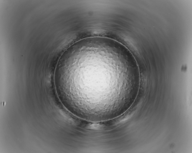 X0000091680269200709061110