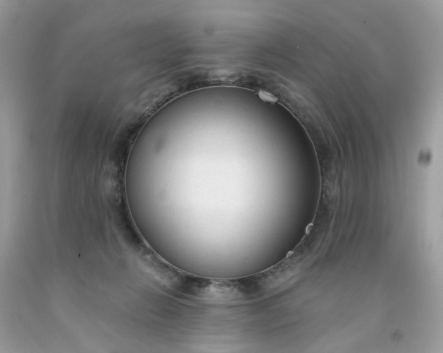 X0000091680270200709061110