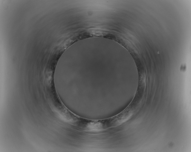X0000091680271200709061110