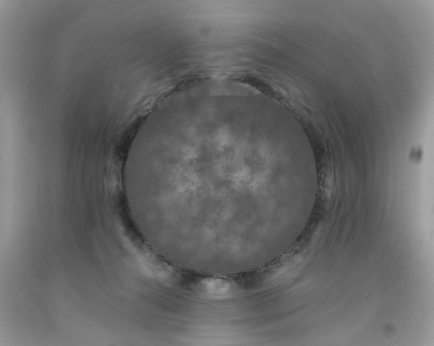 X0000091680272200709061110