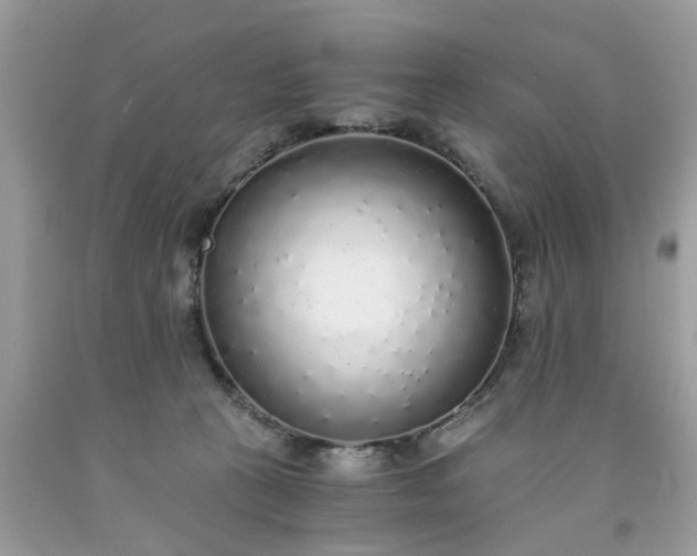 X0000091680273200709061110