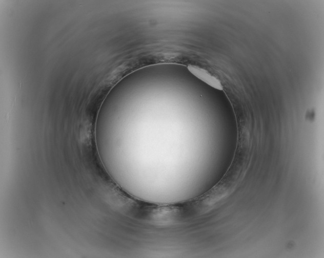 X0000091680274200709061110