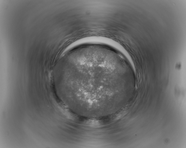 X0000091680276200709061111