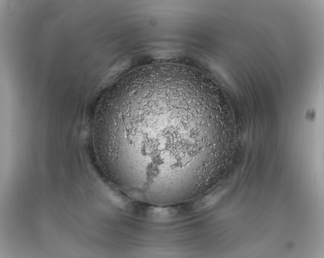 X0000091680277200709061111