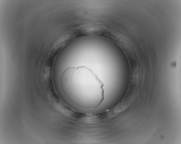 X0000091680278200709061111