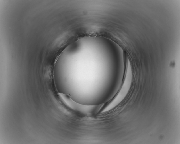 X0000091680280200709061111