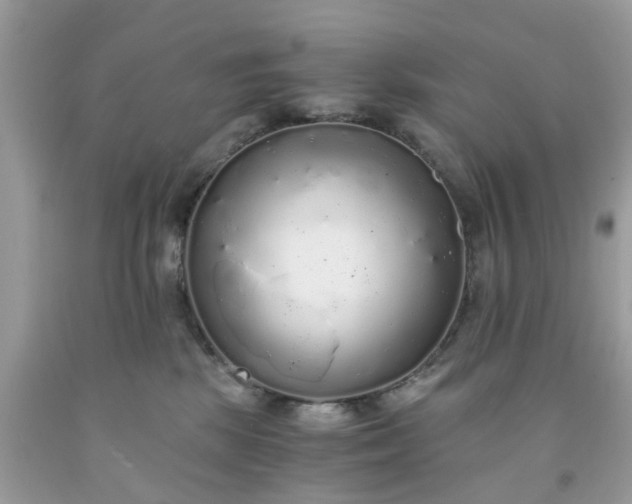 X0000091680281200709061111