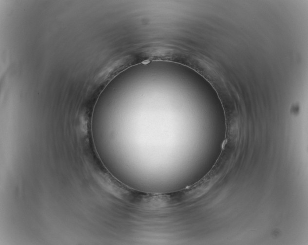 X0000091680282200709061111