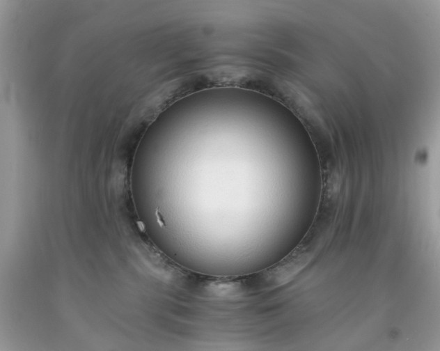 X0000091680283200709061111