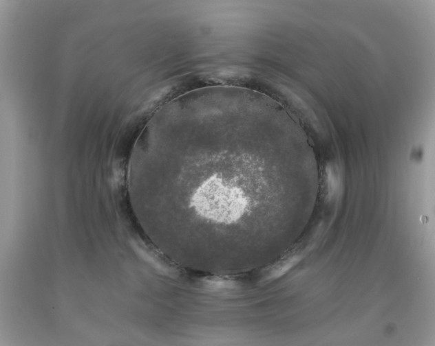X0000091680284200709061111