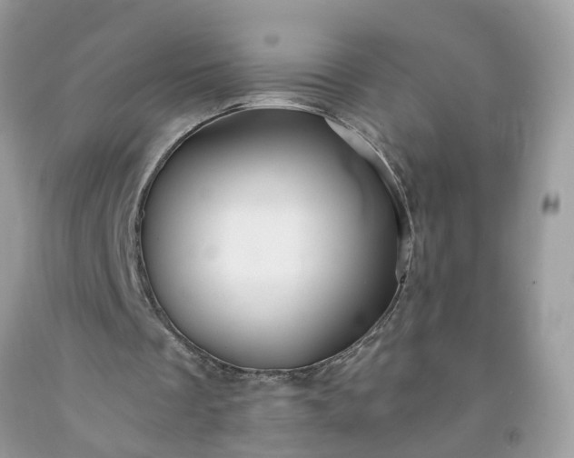 X0000091680289200709061110