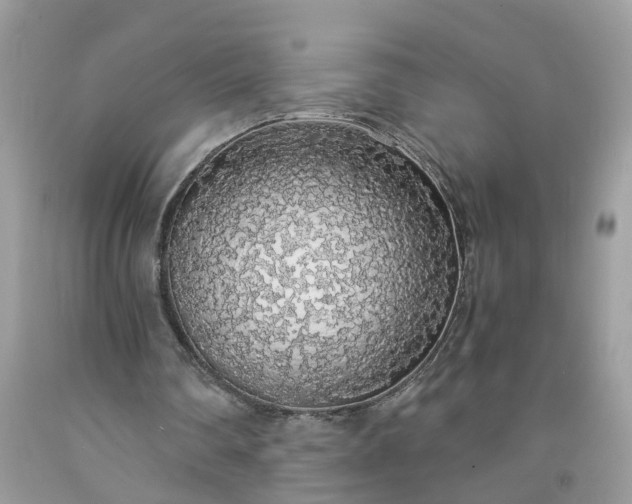X0000091680290200709061110