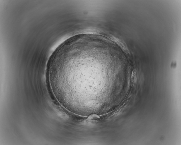 X0000091680292200709061110