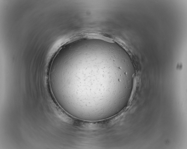 X0000091680293200709061110