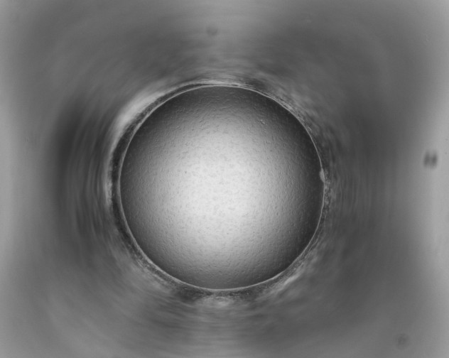X0000091680294200709061110
