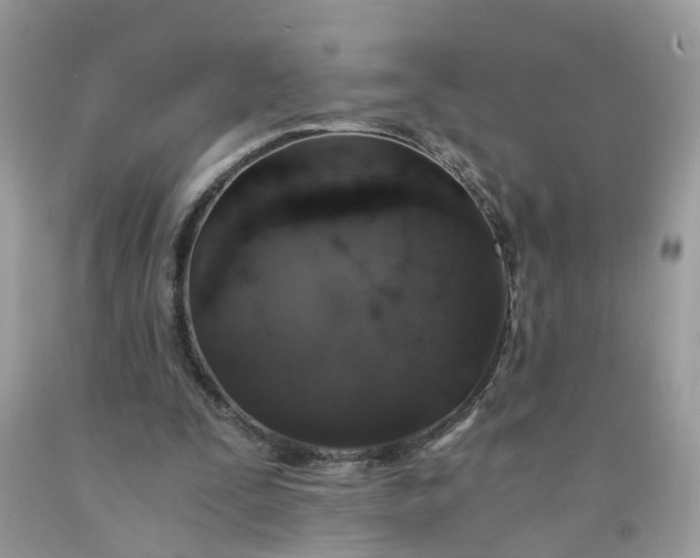 X0000091680295200709061110