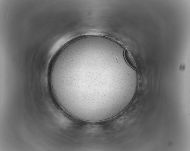 X0000091680296200709061110