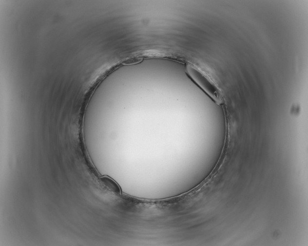 X0000091680297200709061110