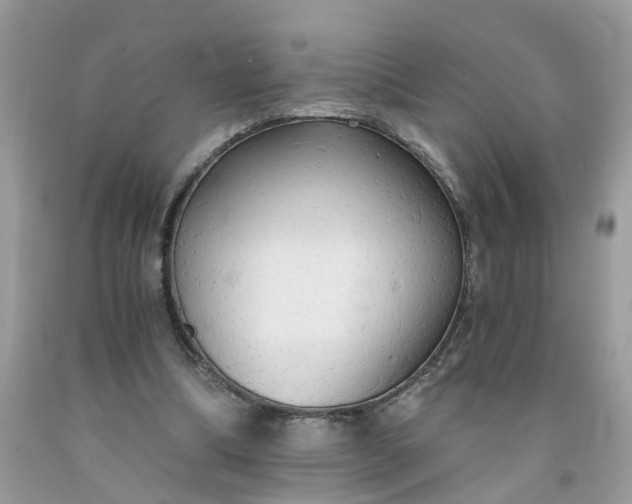 X0000091680298200709061110