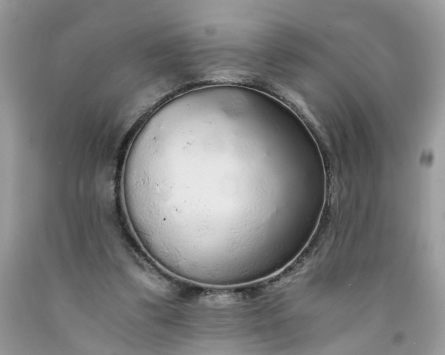 X0000091680299200709061110