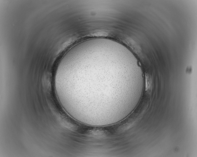 X0000091680300200709061110