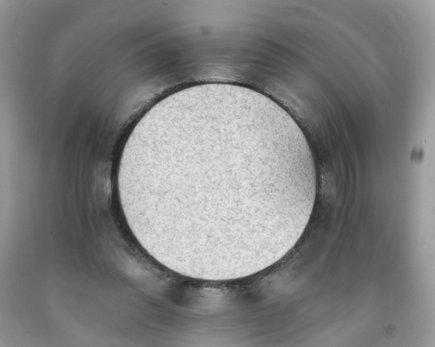 X0000091680302200709061110