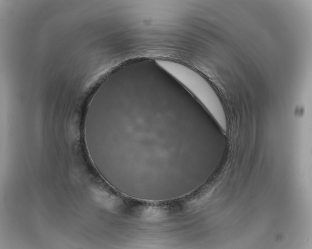 X0000091680303200709061110