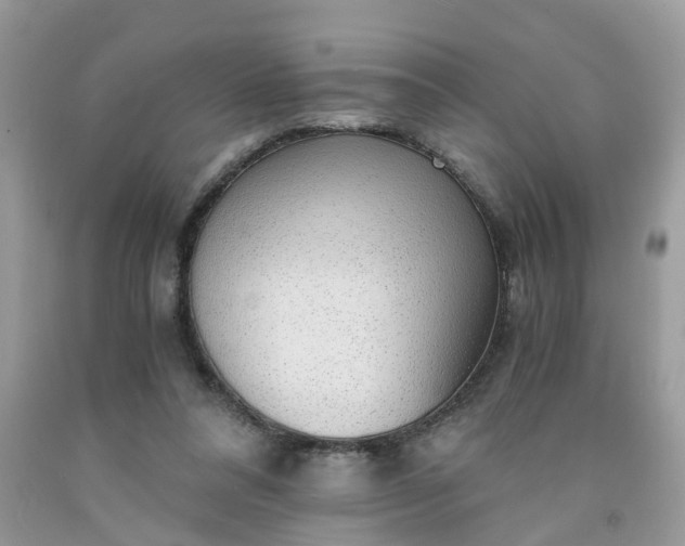 X0000091680304200709061110