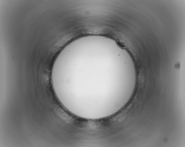 X0000091680305200709061110
