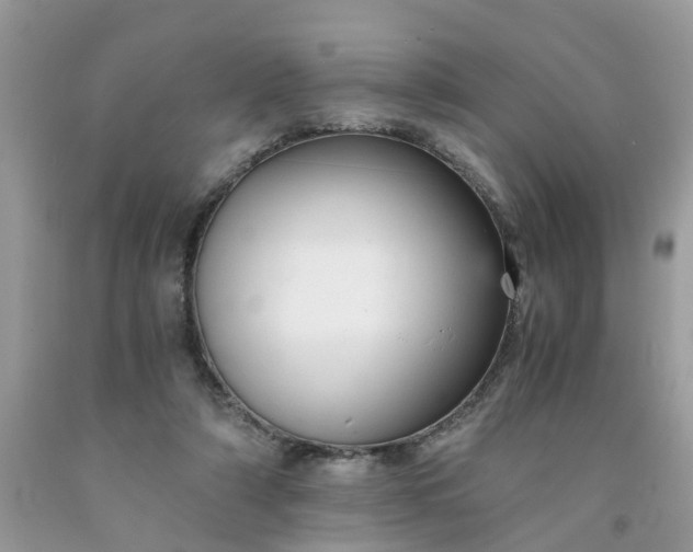 X0000091680306200709061110