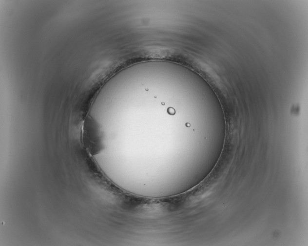 X0000091680307200709061110