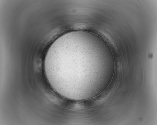 X0000091680308200709061110