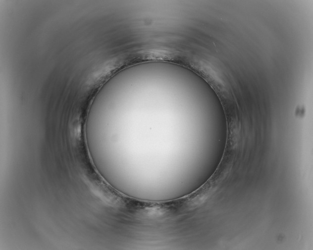 X0000091680310200709061110