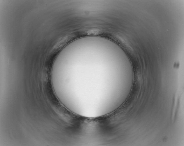 X0000091680311200709061110