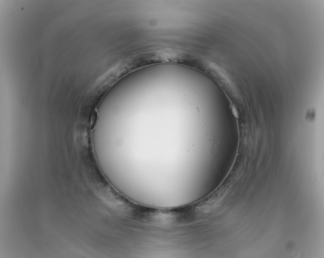 X0000091680313200709061110