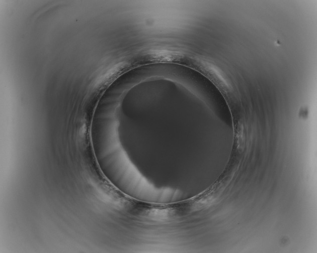 X0000091680314200709061110