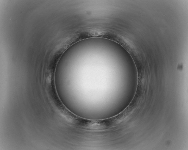 X0000091680315200709061110
