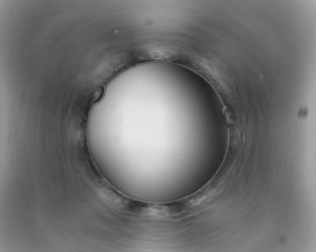 X0000091680317200709061110