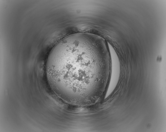 X0000091680319200709061110