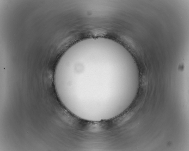 X0000091680321200709061110