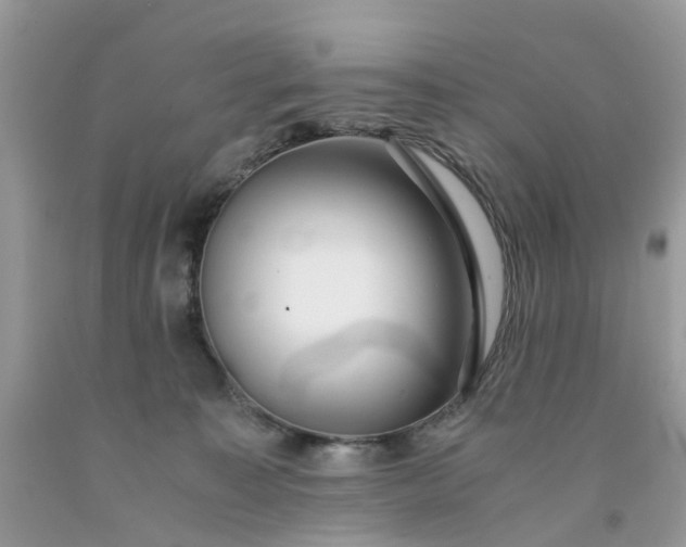 X0000091680323200709061110