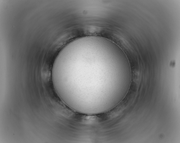 X0000091680324200709061110