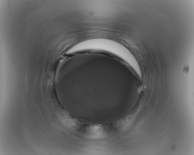 X0000091680325200709061110
