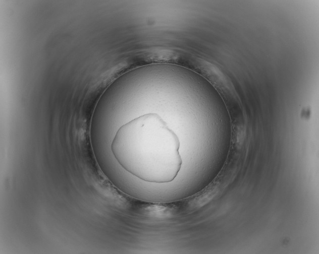 X0000091680326200709061110