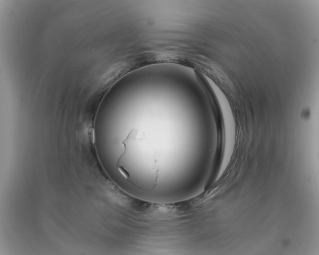 X0000091680329200709061110