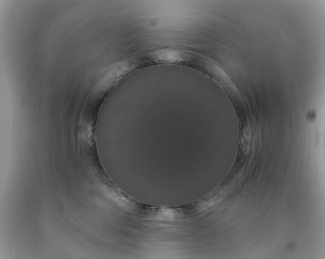 X0000091680330200709061110